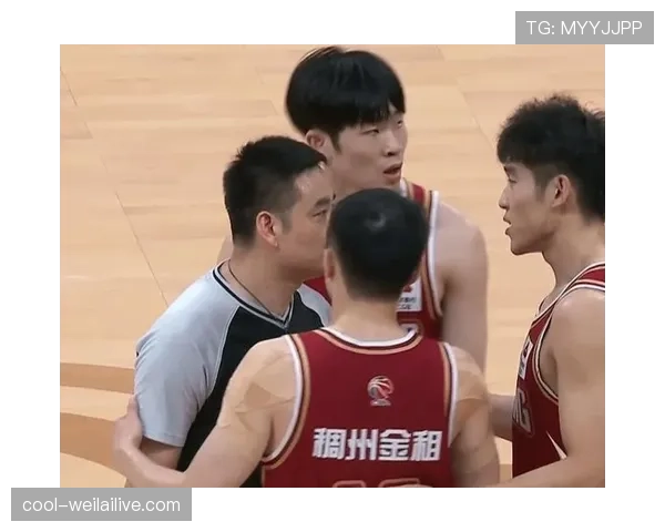 解读CBA与NBA回场规则差异，判断标准大不同